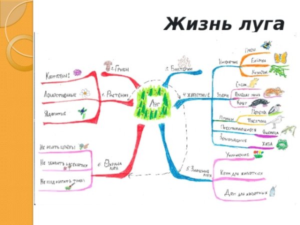 Ментальная карта по географии 7 класс Африка