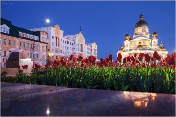 Саранск весной красивые