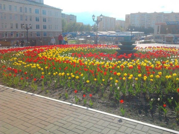 Саранск Мордовия природа