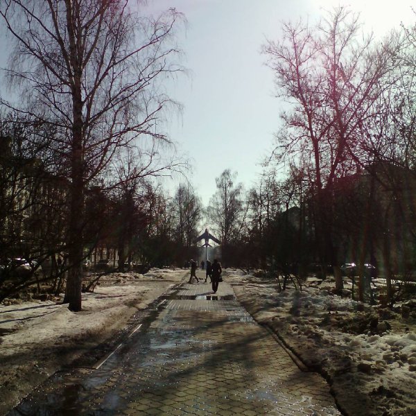 Саранск природа