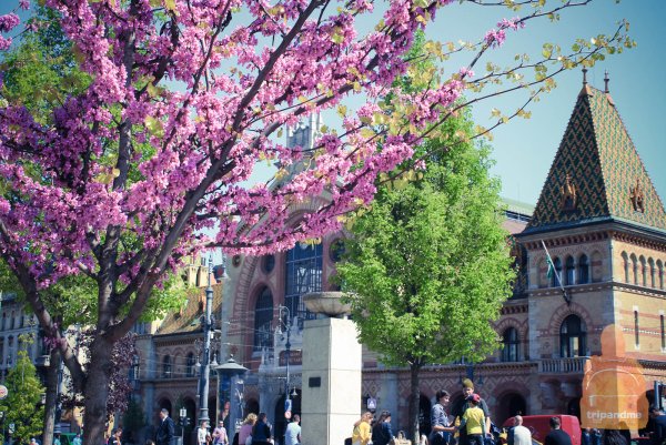 Будапешт климат