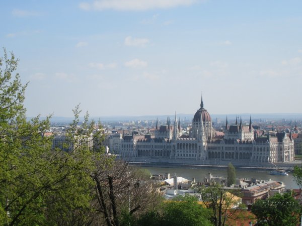 Сакура в Будапеште