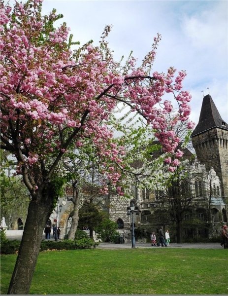 Будапешт улицы Весна