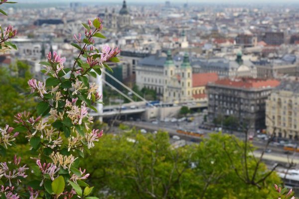 Весенний Будапешт улица