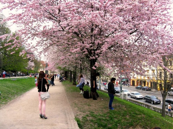 Будапешт в мае