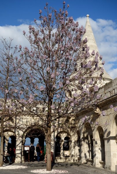 Река Дунай в Венгрии