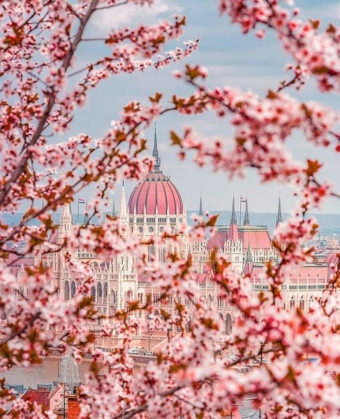 Будапешт Кремль