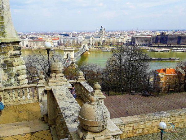 Будапешт, цветы