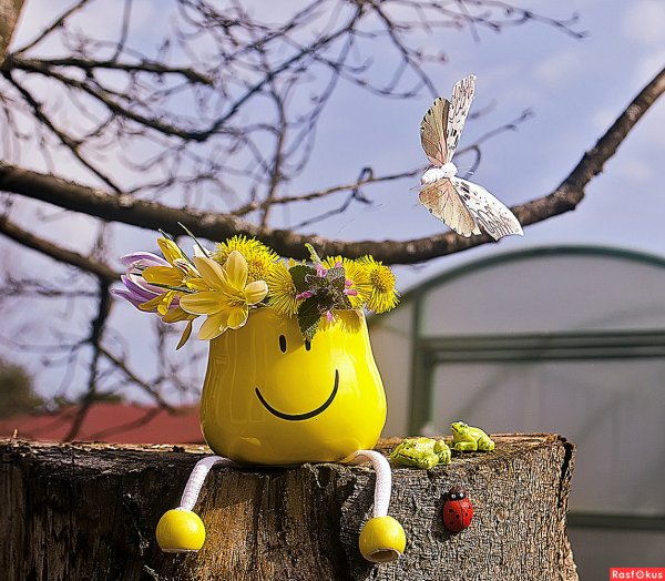 Доброе утро картинки