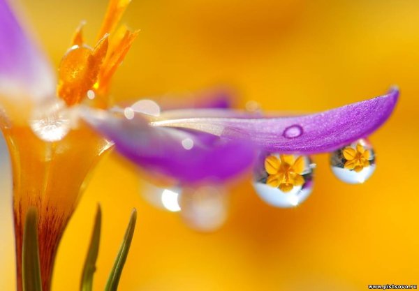 Смешное про весну