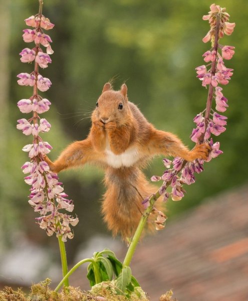 Открытки с добрым утром