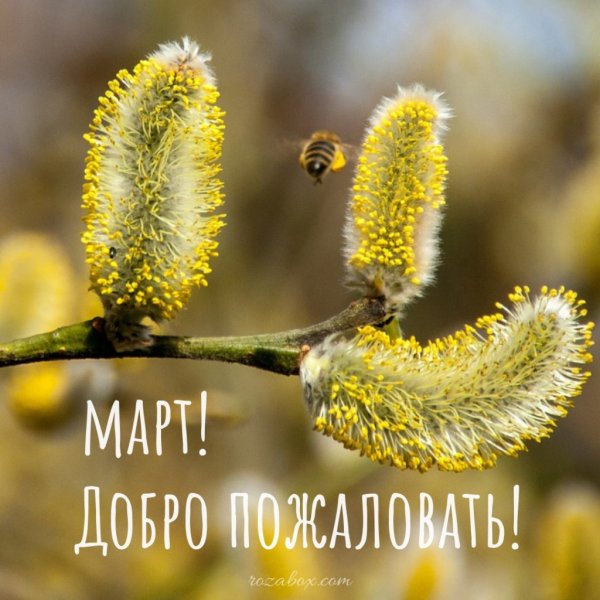 Весна с надписью Весна