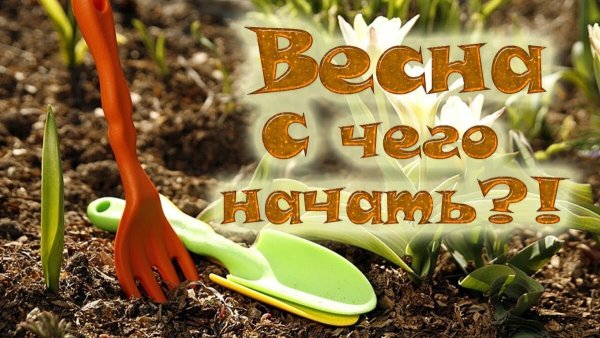 Скоро огород