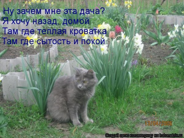 Открытки скоро на дачу