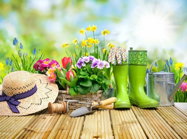 Садовый инвентарь баннер