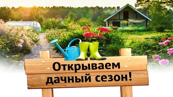 Пора на дачу