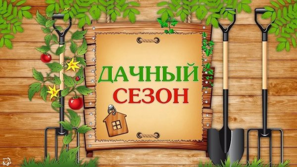 День дачника