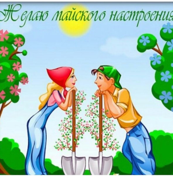 Афоризмы про дачу