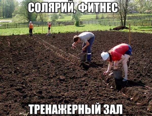 Приколы про огород и дачу