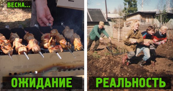 Владимир Жданов живопись деревня