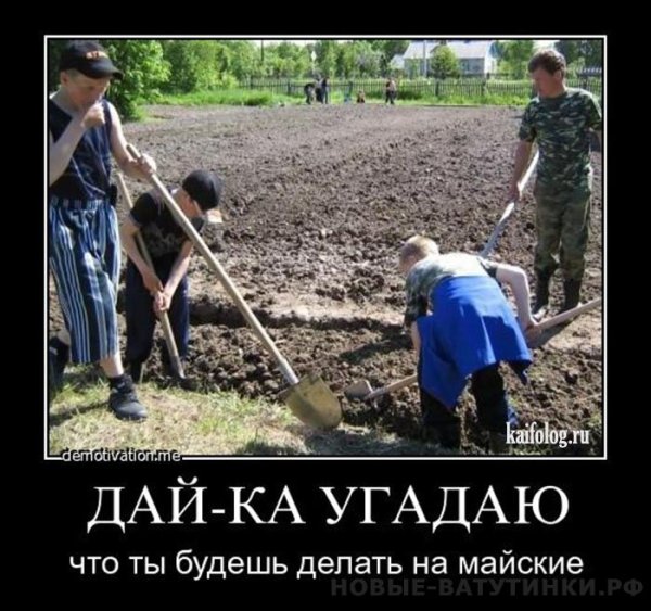 Приколы про огород