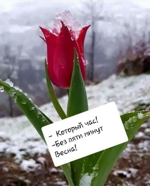 Шутки про зиму и весну