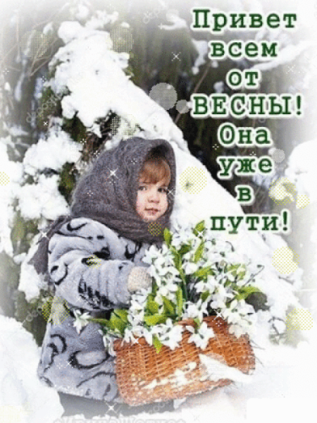 Коты ждут весну