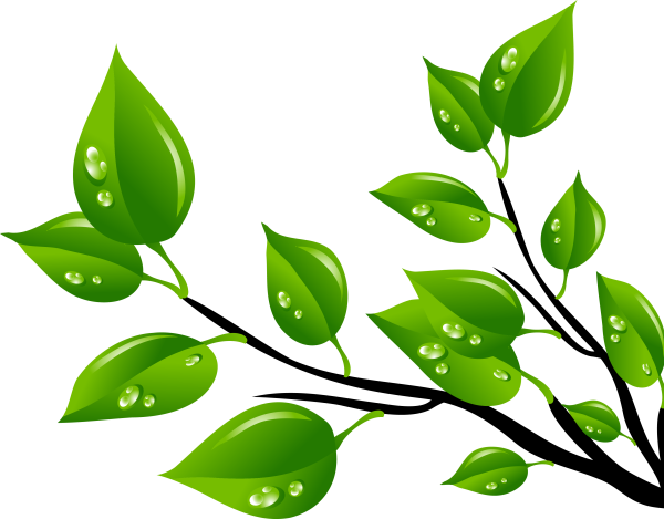 Весна почки распускаются