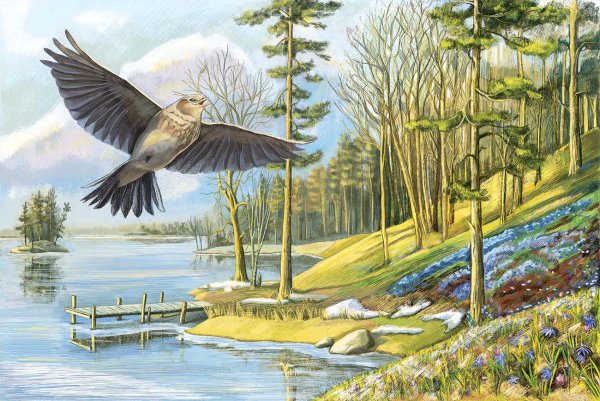 Песнь жаворонка Чайковский