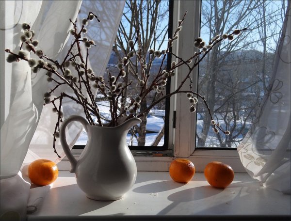 Окно апрель