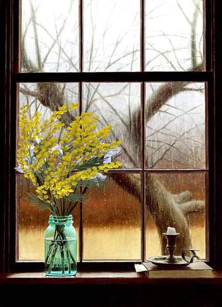 Окно за окном