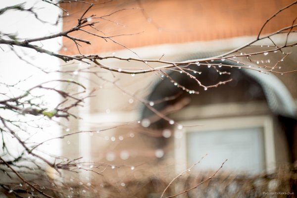 Окно ранняя Весна