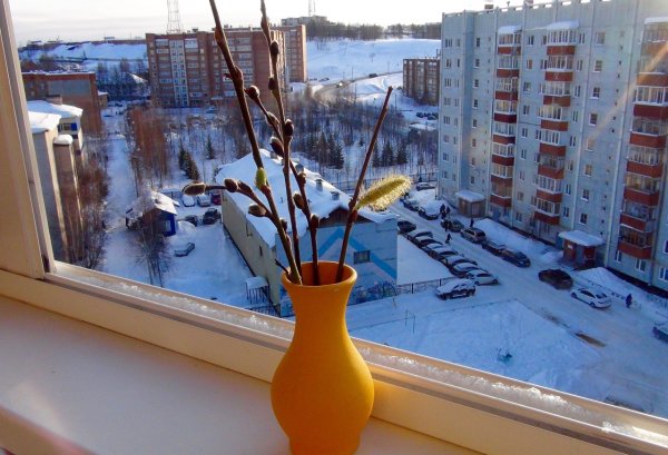 Вид из окна весной