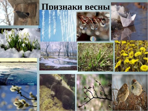 Признаки весны