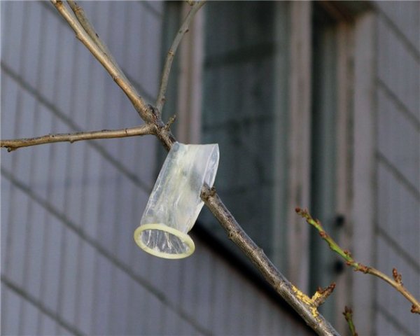 Демотиваторы про весну