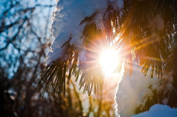 Зима солнце