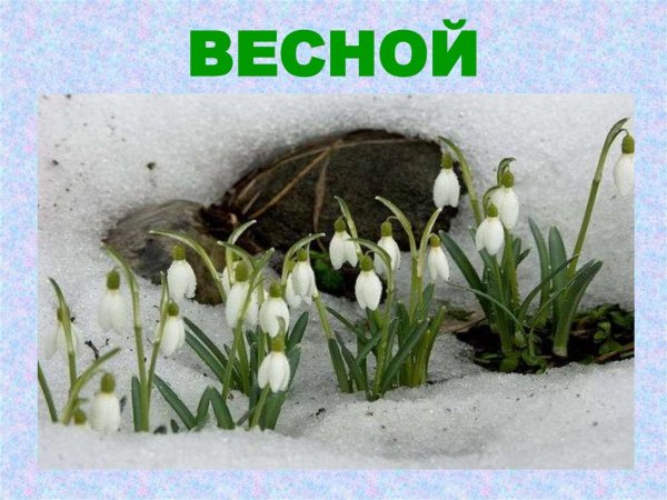 Только что на проталинах весенних