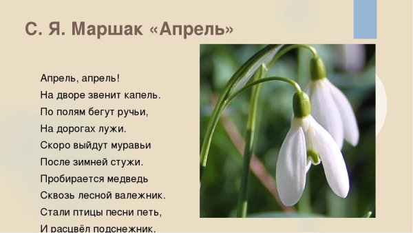 Зимние стихи