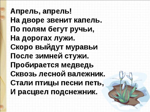 Тимофей Белозеров подснежники