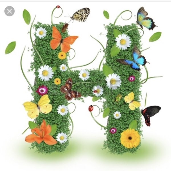 Весенние буквы