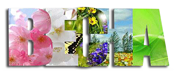 Буквы Весна