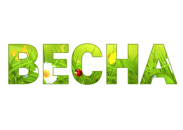 Растяжка Здравствуй школа