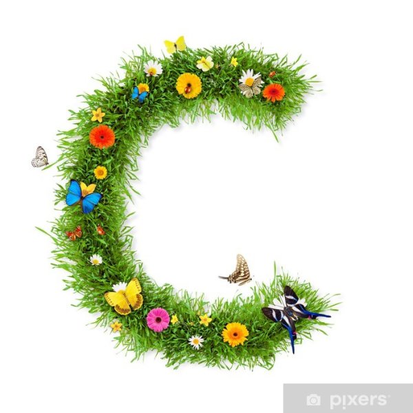 Logo Flower Alphavit