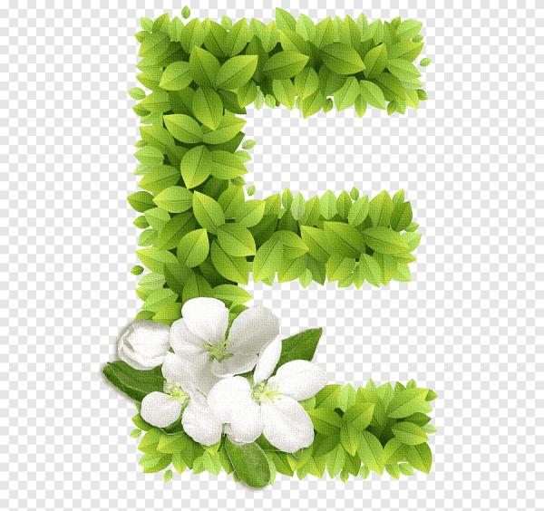 Буквы с цветами