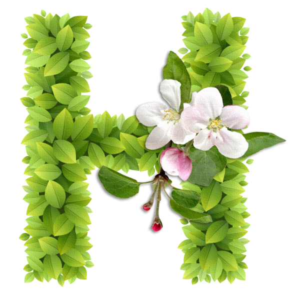 Папки-передвижки для детского сада