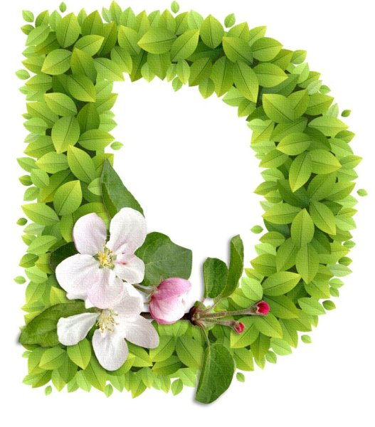 Лето надпись