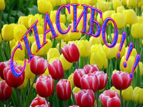 Спасибо с весенними цветами
