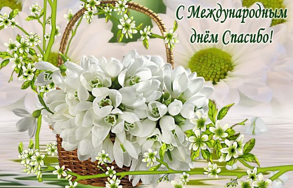 Спасибо весенние цветы
