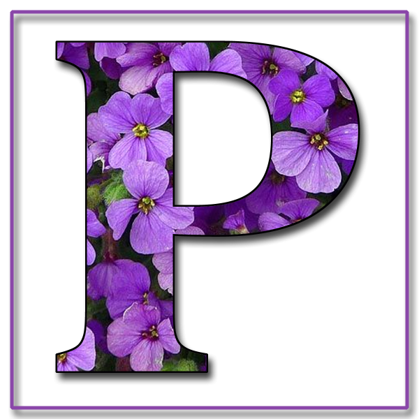 Весна надпись