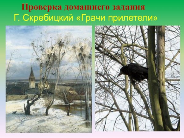 Грачи прилетели Скребицкий рассказ